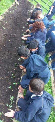 taller-siembra-jun-2024-11