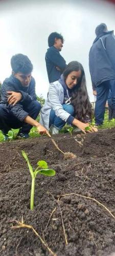 taller-siembra-jun-2024-13