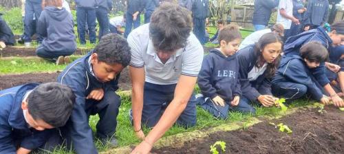 taller-siembra-jun-2024-7