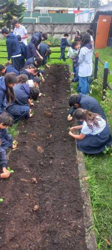 taller-siembra-jun-2024-8